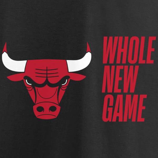 Футболка Chicago Bulls Whole New Game Team - Black