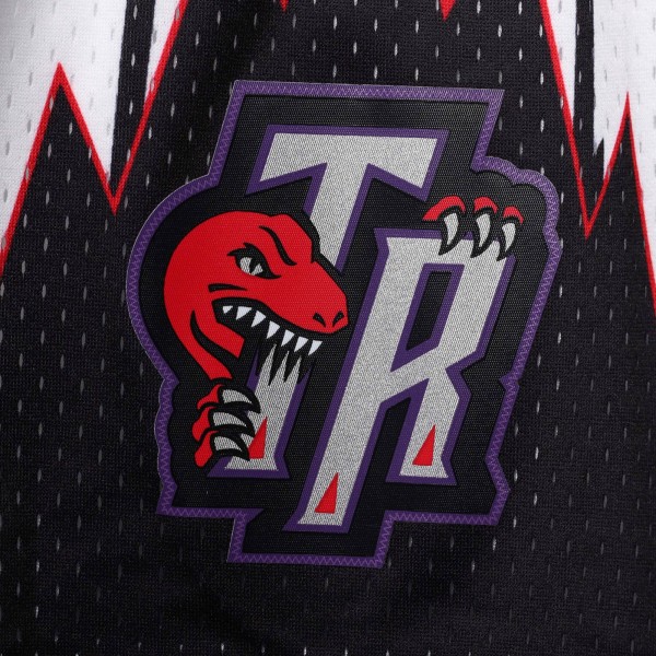 Шорты Toronto Raptors Mitchell & Ness Hardwood Classics Swingman - White - спортивная одежда НБА