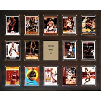 Miami Heat Dwyane Wade 16 x 20 Plaque