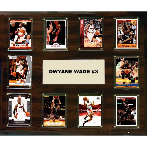 Miami Heat Dwyane Wade 15 x 18 Plaque