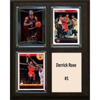 Chicago Bulls Derrick Rose 8 x 10 Plaque