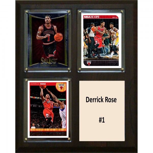 Chicago Bulls Derrick Rose 8 x 10 Plaque