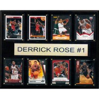 Chicago Bulls Derrick Rose 12 x 15 Plaque