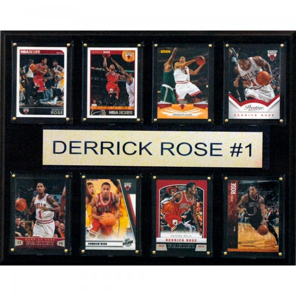 Chicago Bulls Derrick Rose 12 x 15 Plaque