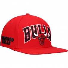 Бейсболка Chicago Bulls Pro Standard Wordmark Logo - Red
