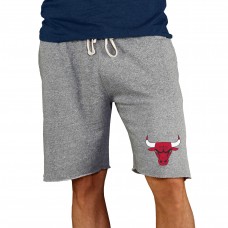 Шорты Chicago Bulls Concepts Sport Mainstream - Gray