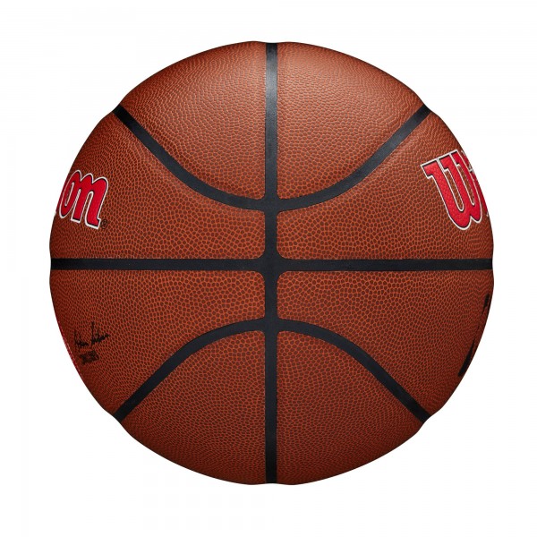 Мяч Atlanta Hawks Wilson NBA Team Alliance