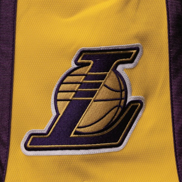 Шорты Los Angeles Lakers Mitchell & Ness 2009/10 Hardwood Classics Authentic - White