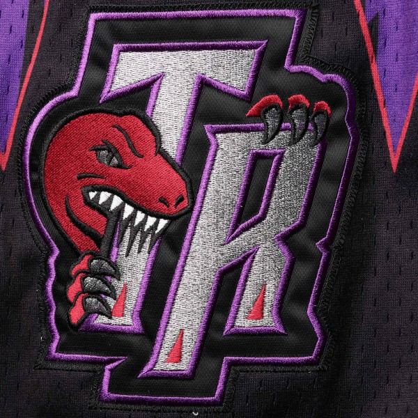 Шорты Toronto Raptors Mitchell & Ness 1998/99 Hardwood Classics Authentic - Purple