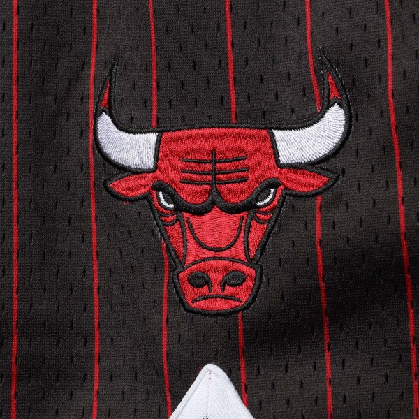 Шорты Chicago Bulls Mitchell & Ness 1996/97 Hardwood Classics Authentic - Black