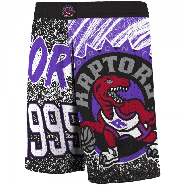Шорты Toronto Raptors Mitchell & Ness Hardwood Classics Jumbotron - Black - спортивная одежда НБА
