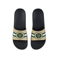 Шлепки Milwaukee Bucks FOCO Stripe Raised