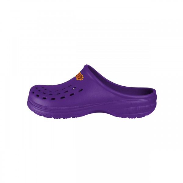 Сабо Phoenix Suns FOCO Molded Garden