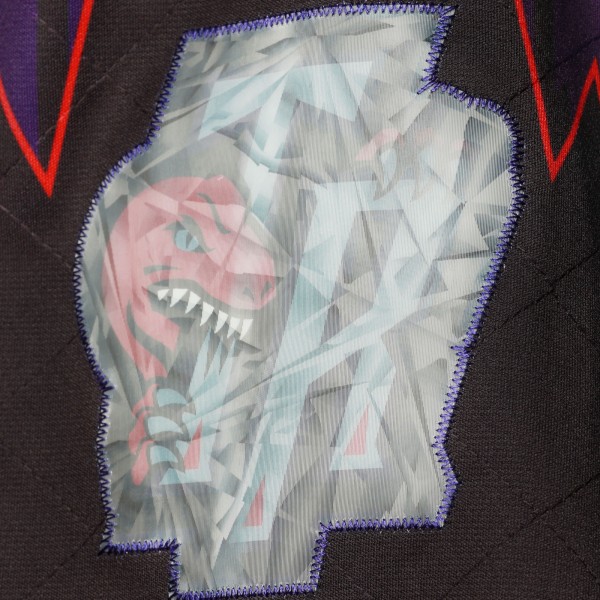 Шорты Toronto Raptors Mitchell & Ness 1998 Hardwood Classics 75th Anniversary Swingman - Purple