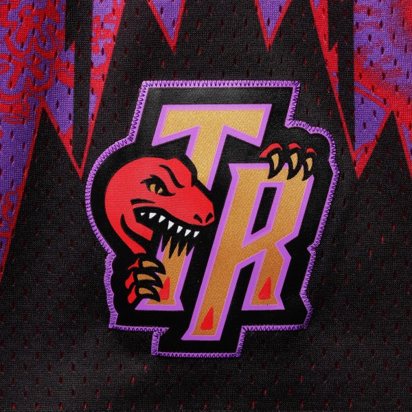 Шорты Toronto Raptors Mitchell & Ness Hardwood Classics Lunar New Year Swingman - Purple