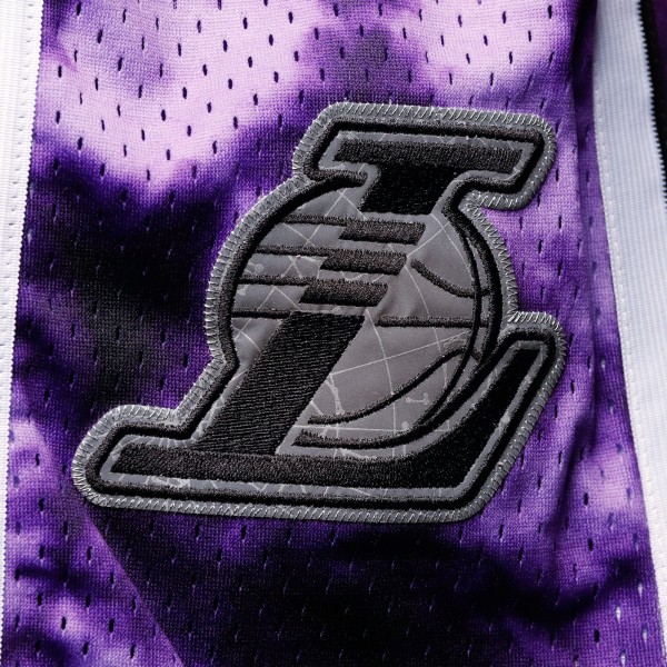 Шорты Los Angeles Lakers Mitchell & Ness Hardwood Classics 2009 Galaxy Swingman - Purple