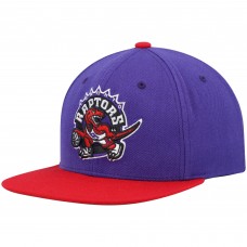 Бейсболка Toronto Raptors Mitchell & Ness Hardwood Classics Team Two-Tone 2.0 - Purple/Red