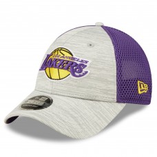 Бейсболка Los Angeles Lakers New Era Active 9FORTY - Gray/Purple