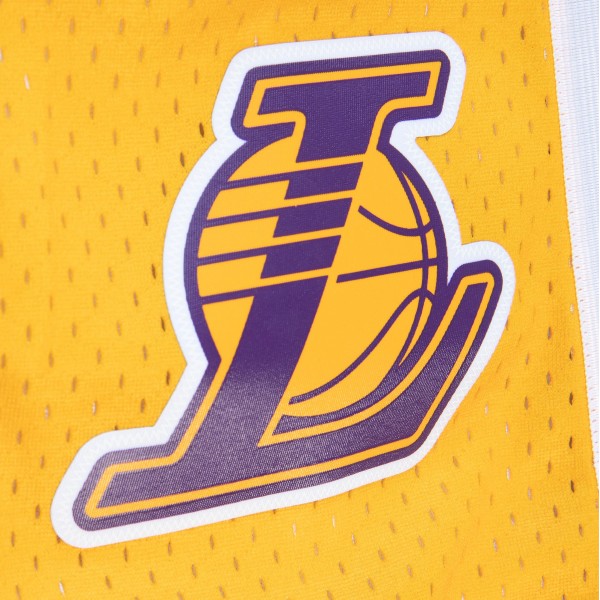 Шорты Los Angeles Lakers Mitchell & Ness 2009/10 Hardwood Classics Fadeaway Reload 3.0 Swingman - Gold/Purple