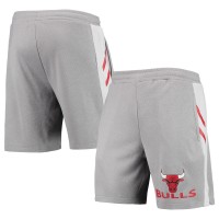 Шорты Chicago Bulls Concepts Sport Stature - Gray