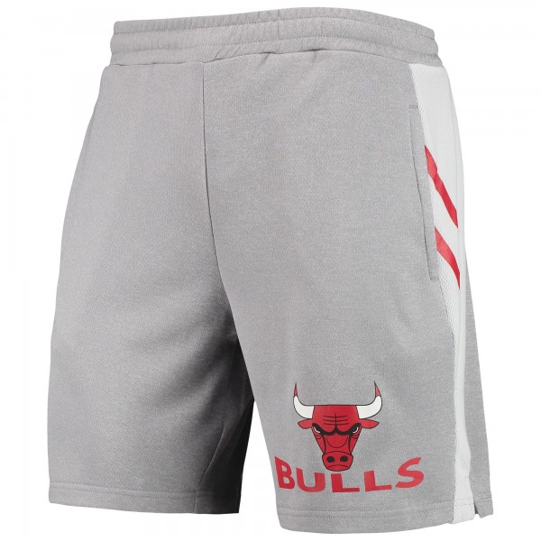 Шорты Chicago Bulls Concepts Sport Stature - Gray