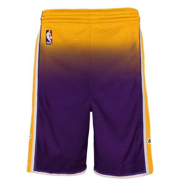 Шорты Los Angeles Lakers Mitchell & Ness Youth 2009/10 Hardwood Classics Fadeaway Reload 3.0 Swingman - Gold/Purple