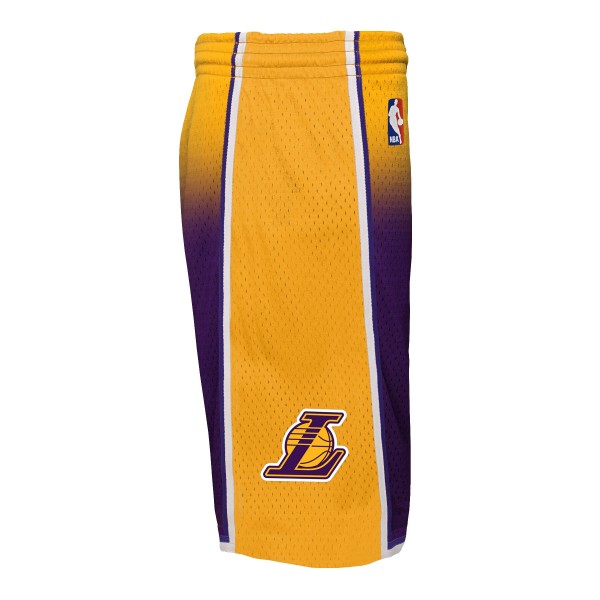 Шорты Los Angeles Lakers Mitchell & Ness Youth 2009/10 Hardwood Classics Fadeaway Reload 3.0 Swingman - Gold/Purple