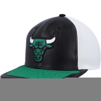 Бейсболка Chicago Bulls Mitchell & Ness White/Green Day One