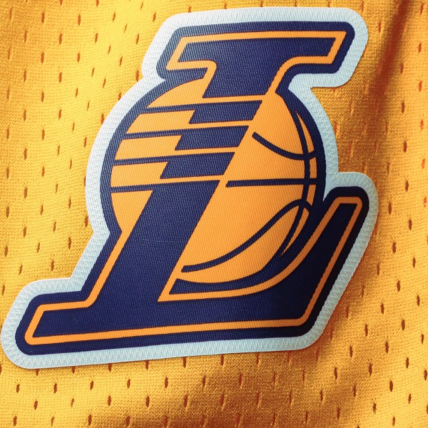 Шорты Los Angeles Lakers Mitchell & Ness 2009-10 Hardwood Classics Swingman - White