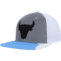 Бейсболка Chicago Bulls Mitchell & Ness Day 5 - Silver/Blue