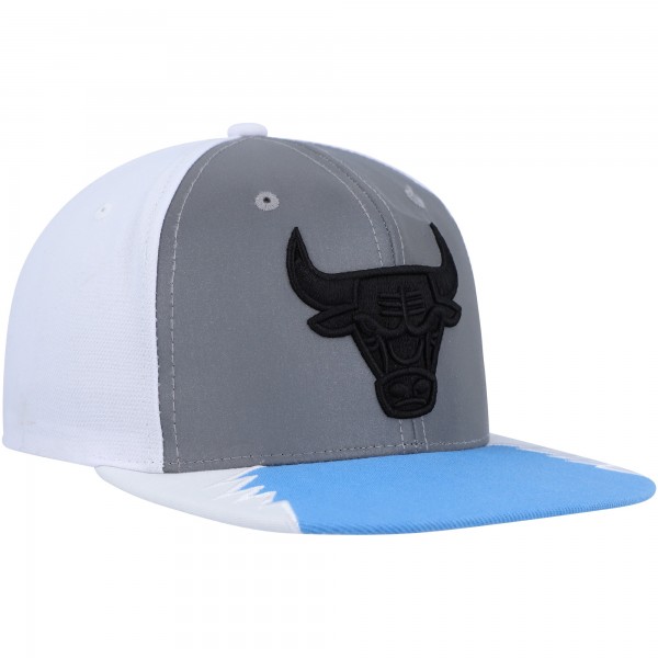 Бейсболка Chicago Bulls Mitchell & Ness Day 5 - Silver/Blue