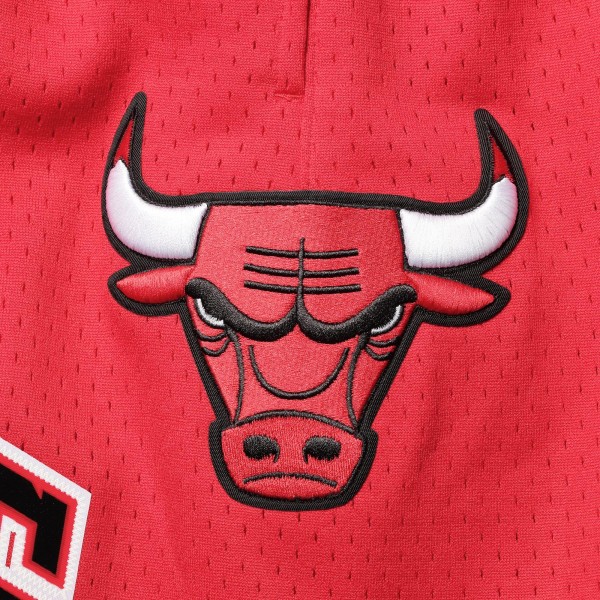 Шорты Chicago Bulls Pro Standard Mesh Capsule - Red