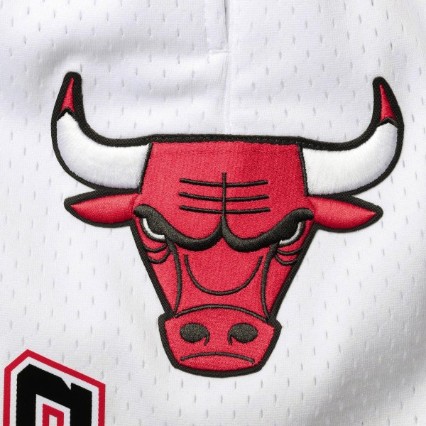 Шорты Chicago Bulls Pro Standard 6x NBA Finals Champions Mesh Capsule - White