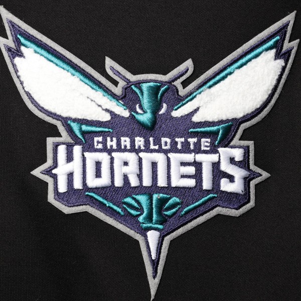 Толстовка Charlotte Hornets Pro Standard Logo - Black
