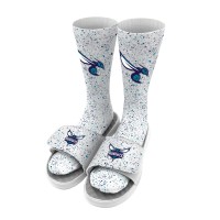Носки и шлепки Charlotte Hornets ISlide Team Logo Speckle - White