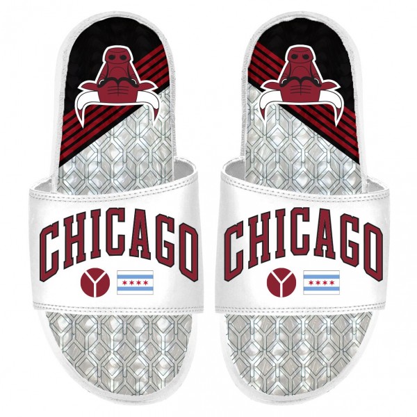 Шлепки Chicago Bulls ISlide 2022/23 City Edition Gel - White