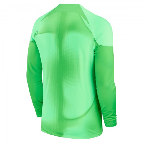 Игровая джерси Paris Saint-Germain Nike 2022/23 Home Replica Long Sleeve Blank - Green
