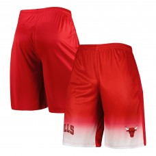 Chicago Bulls Fadeaway Shorts - Red