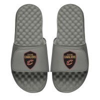 Шлепки Cleveland Cavaliers ISlide Shield - Gray