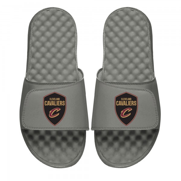 Шлепки Cleveland Cavaliers ISlide Shield - Gray