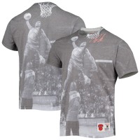 Футболка Nate Robinson New York Knicks Mitchell & Ness Above The Rim - Gray