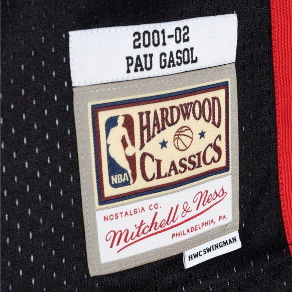 Игровая форма  Pau Gasol Memphis Grizzlies Mitchell & Ness Hardwood Classics 2001-02 Split Swingman - Black/Turquoise
