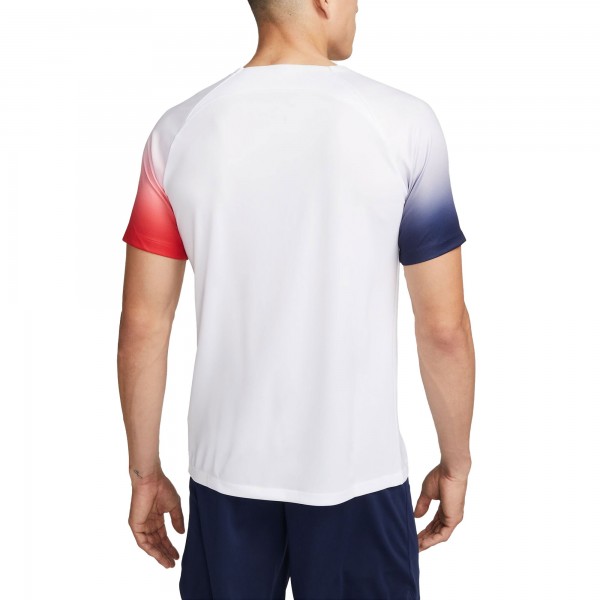 Футболка Paris Saint-Germain Nike 2023/24 Academy Pro Pre-Match - White