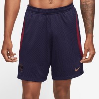 Шорты Paris Saint-Germain Nike 2023/24 Strike Performance - Navy