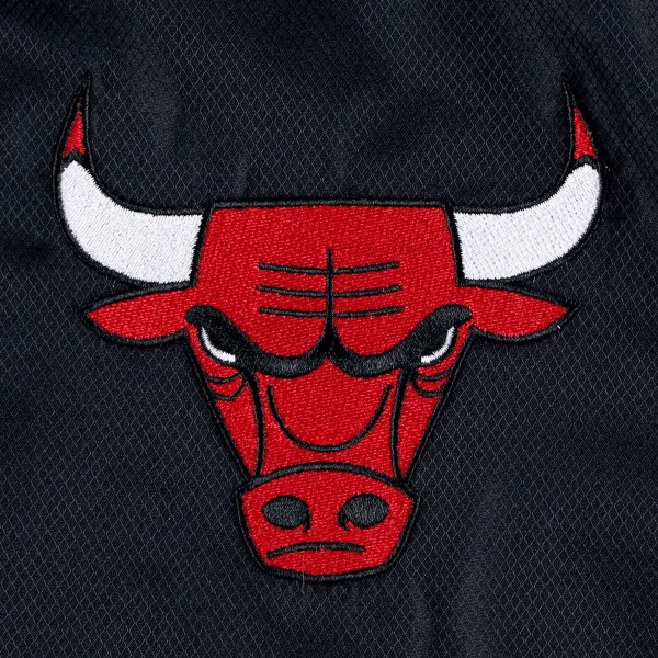 Куртка Chicago Bulls JH Design Black