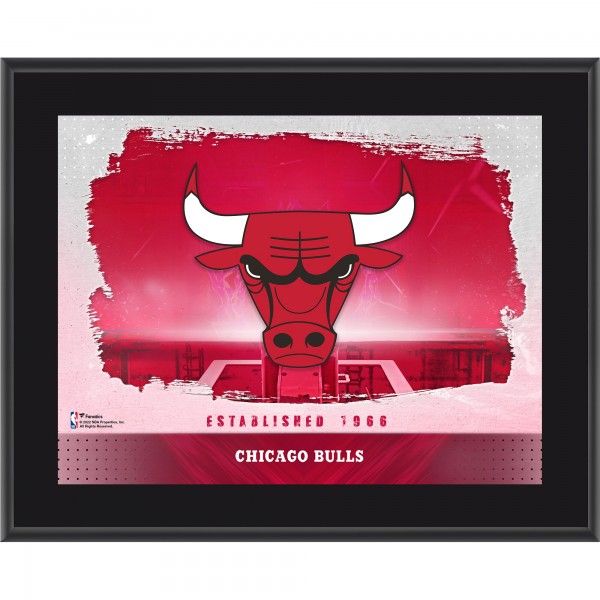 Chicago Bulls Authentic Framed 10.5 x 13 Sublimated Horizontal Team Logo Plaque