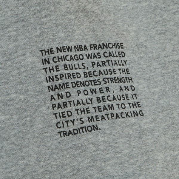 Спортивные штаны Chicago Bulls Mitchell & Ness Team Origins Fleece - Heather Gray