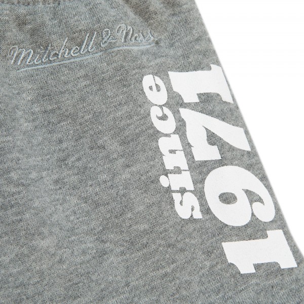 Спортивные штаны Golden State Warriors Mitchell & Ness Team Origins Fleece - Heather Gray
