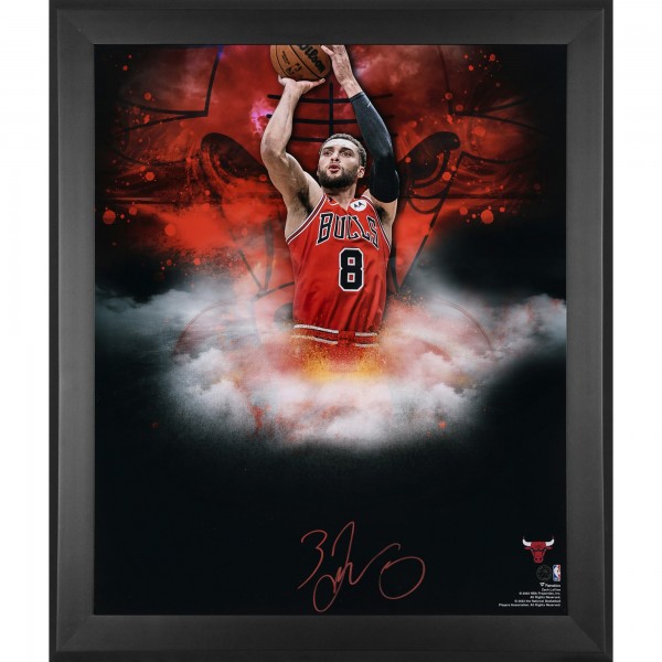 Zach LaVine Chicago Bulls Autographed Fanatics Authentic Framed 20 x 24 In Focus Photograph