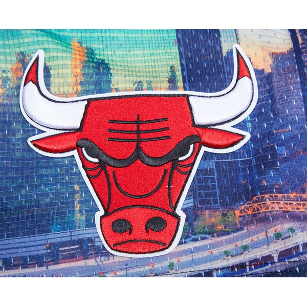 Шорты Chicago Bulls Pro Standard Cityscape